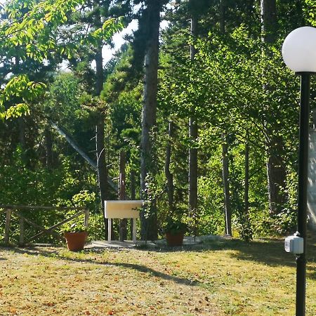Poggio Eco B&B Ascoli Piceno Ngoại thất bức ảnh