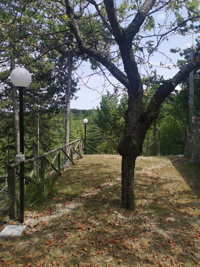 Poggio Eco B&B Ascoli Piceno Ngoại thất bức ảnh
