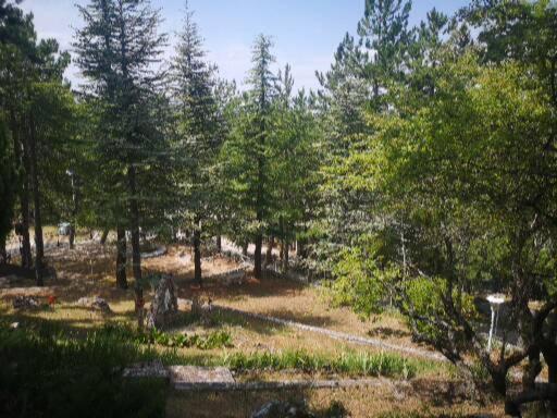 Poggio Eco B&B Ascoli Piceno Ngoại thất bức ảnh