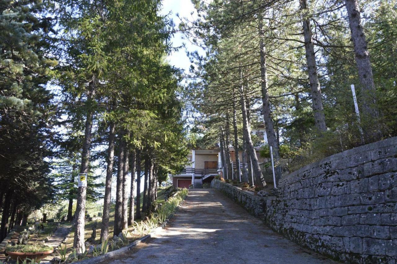 Poggio Eco B&B Ascoli Piceno Ngoại thất bức ảnh