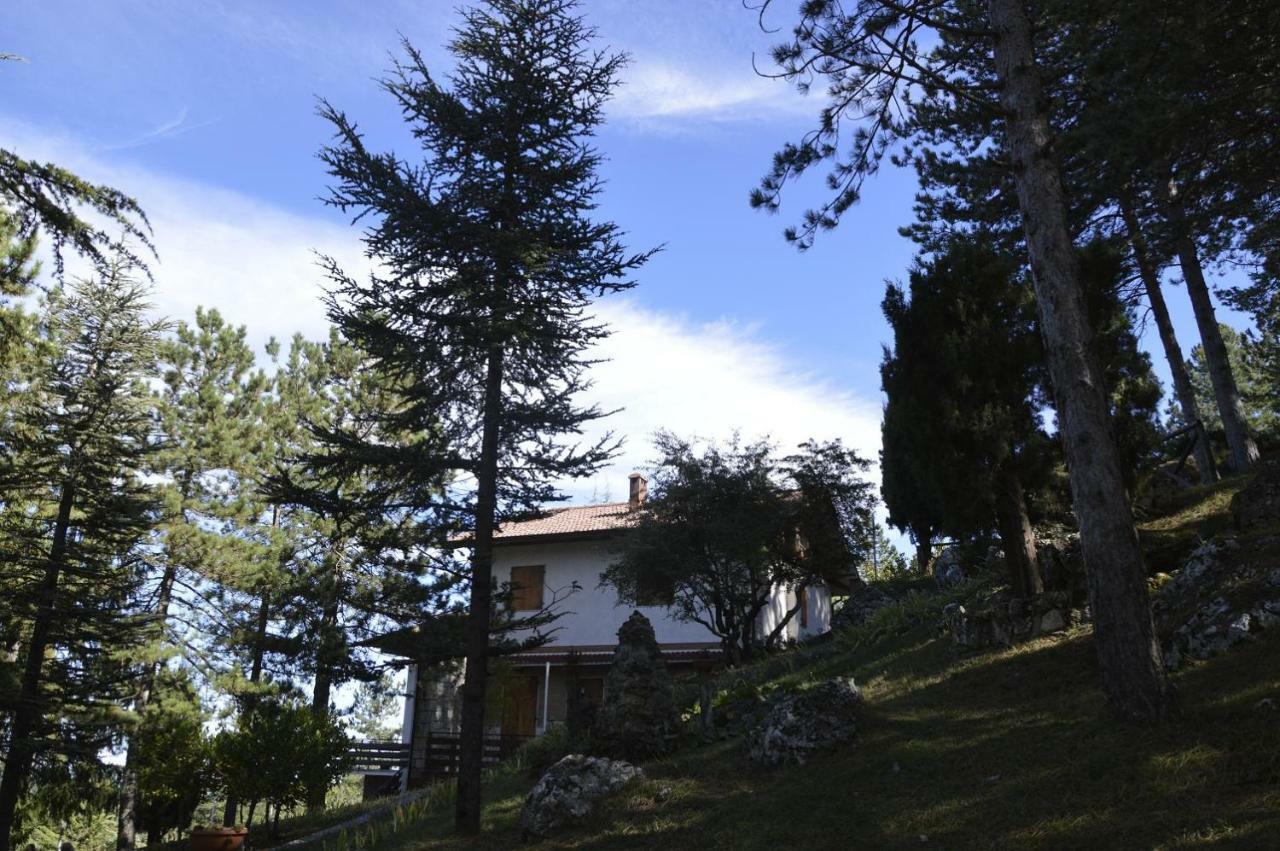 Poggio Eco B&B Ascoli Piceno Ngoại thất bức ảnh
